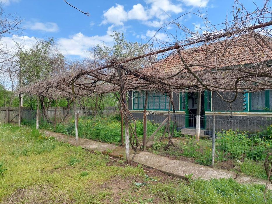 Vânzare teren cu casa batraneasca în  Merii Petchii, Ilfov