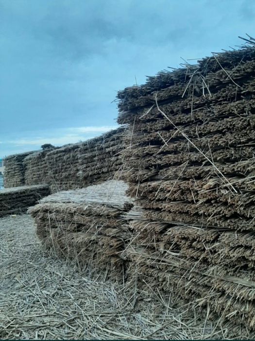 Камыс, Камыш маты