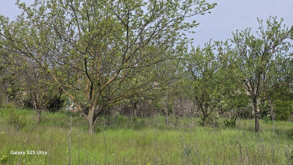 Продава се Парцел в с. Тръстика, Област Търговище - 1470 кв.м за 3 €/кв.м - Снимка #11