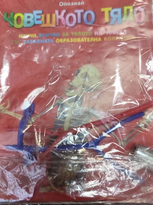 Човешкото тяло списание бр17