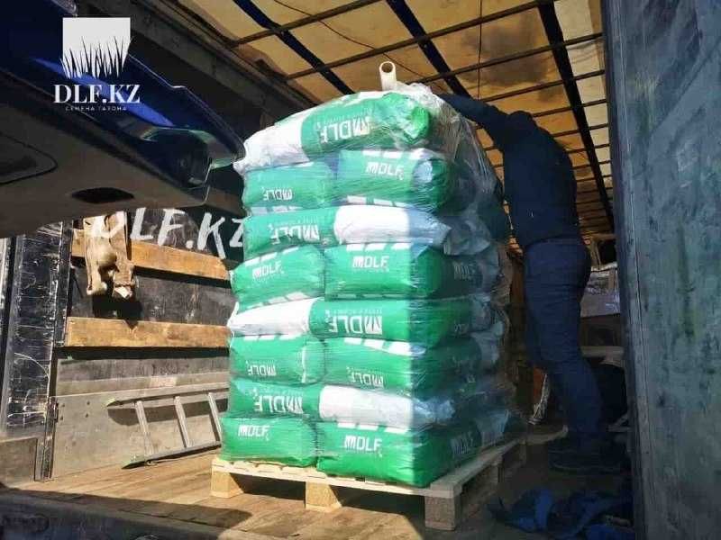 Газон в Астане: 3 вида (все в наличии)