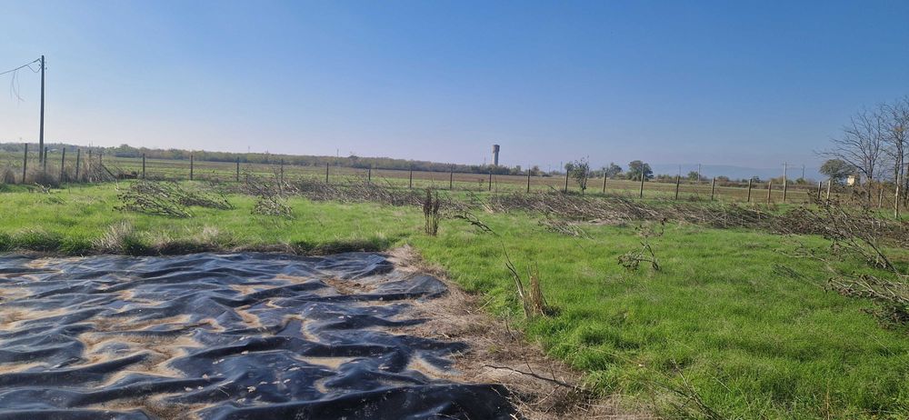 Селскостопански имот