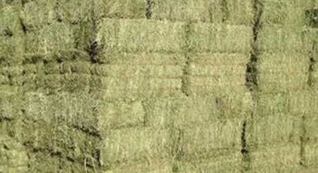 Baloti fân și otavă