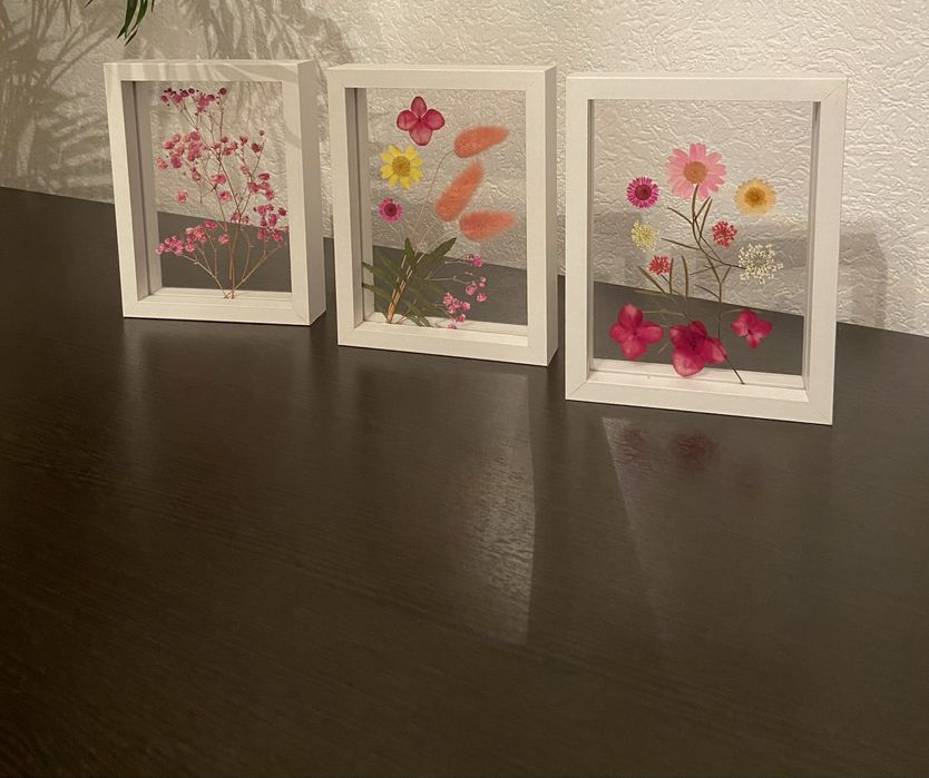 Гербарий в деревянной рамке,под стеклом