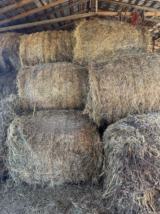 Vand baloti de lucerna