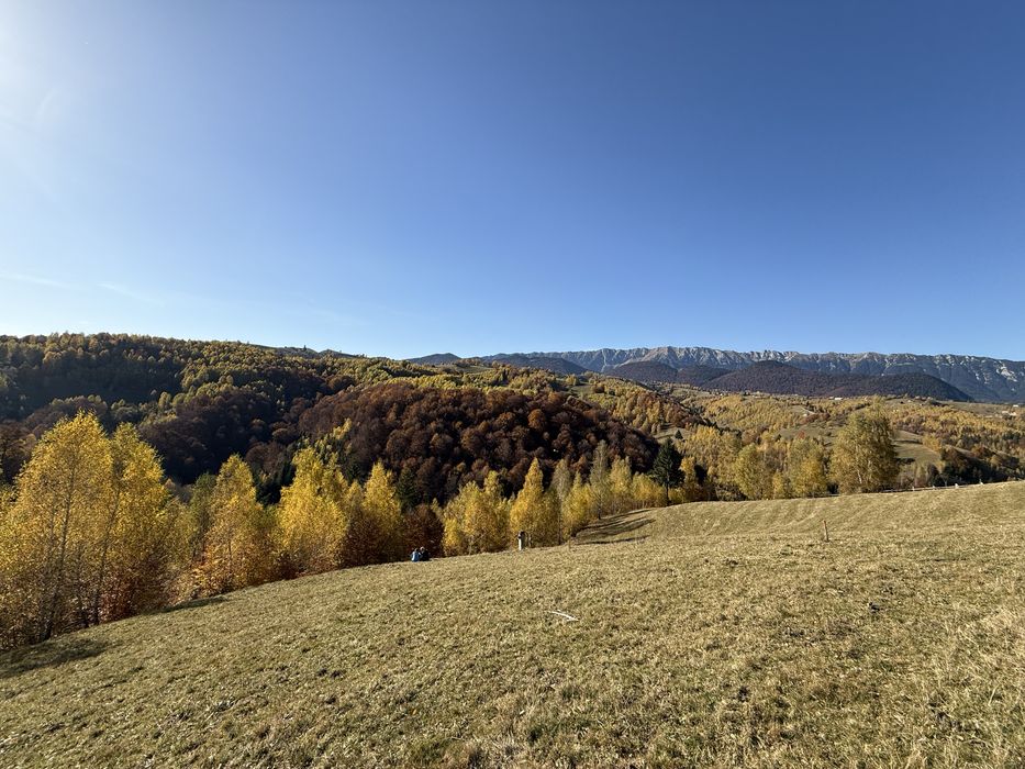 Teren extravilan Sat Pestera, Com. Moieciu