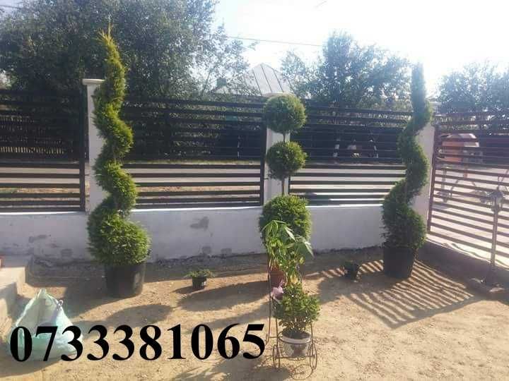 Grădini Unice – Plante Selecte, Gazon Dens și Detalii Decorative!