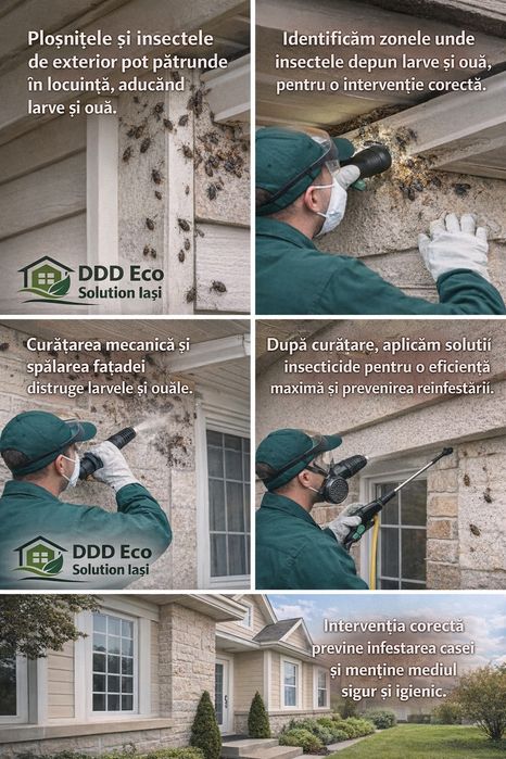 Servicii DDD - Dezinsecție, dezinfecție, deratizare