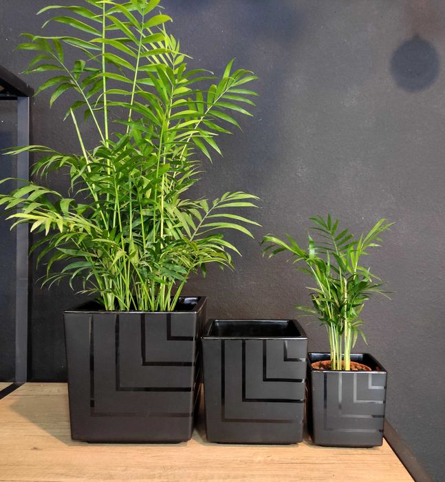 Горшки и кашпо от  Green Town studio