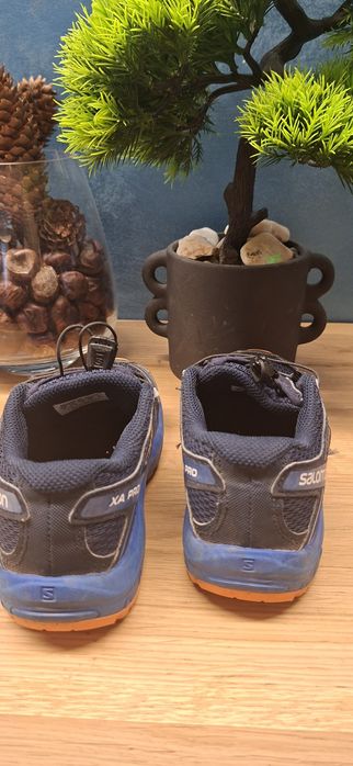 Salomon 31 номер
