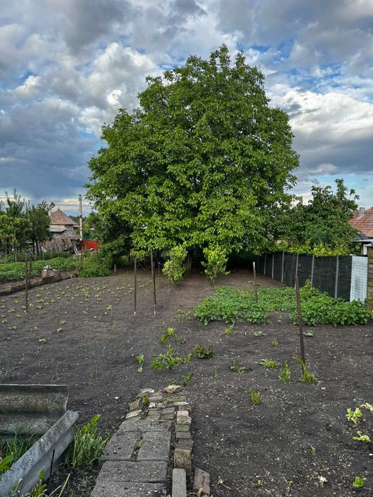 Casa de Vanzare zona Baile Sarate | Salina Turda