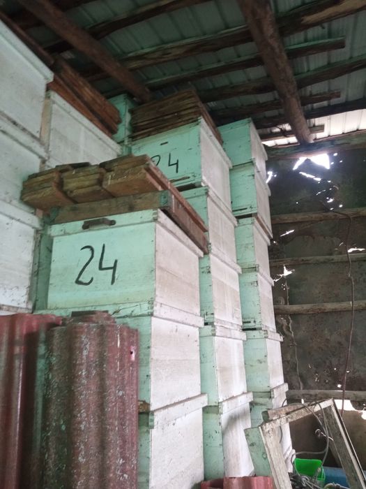 Lăzi stupi de vânzare