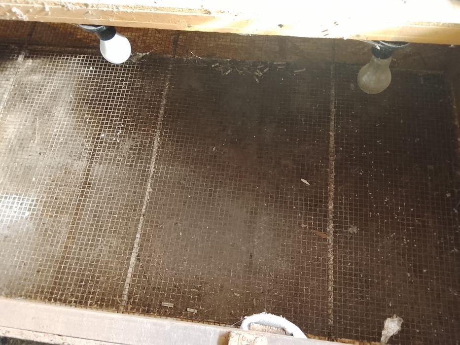 Инкубатор апарат