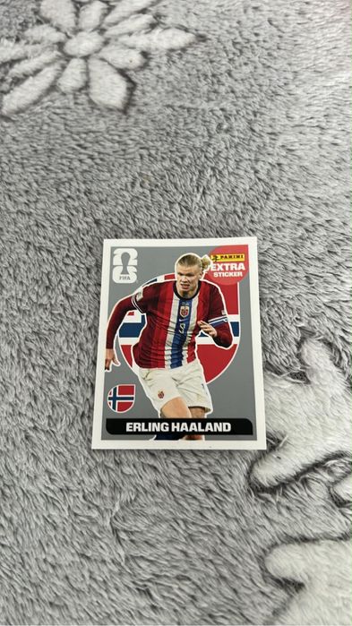 Stiker extra panini