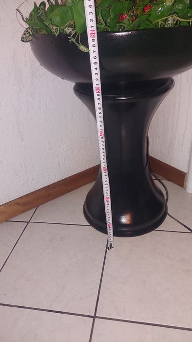 Шадраван - Фонтан