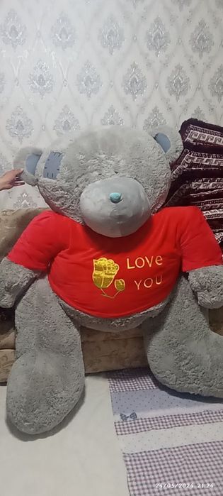 Teddy ayiq padarka uchun zo'r narsa yangiday