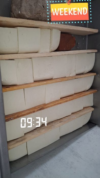 Branza din lapte de oaie