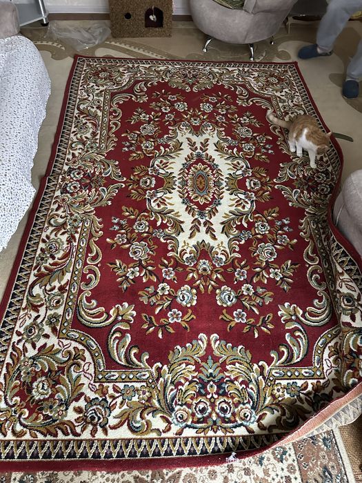 Ковры для вашего дома