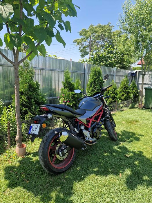 Suzuki sv650 2020