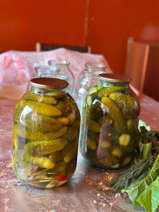 Продам домашние огурцы соленные