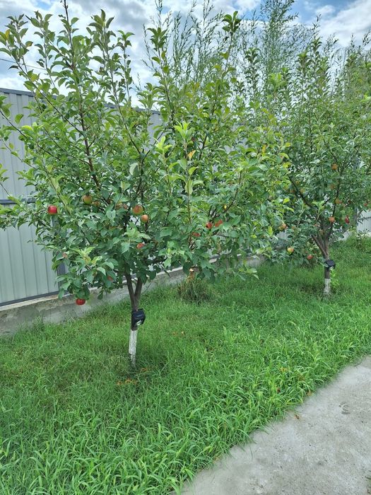 Продам добротный дом