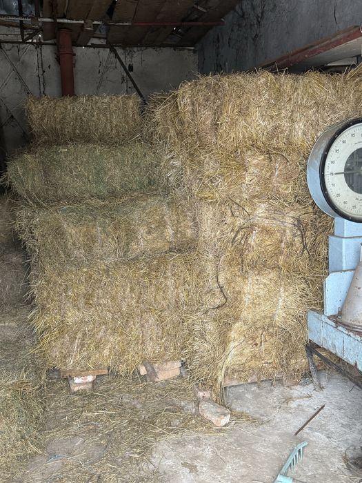 Vand baloti de lucerna .