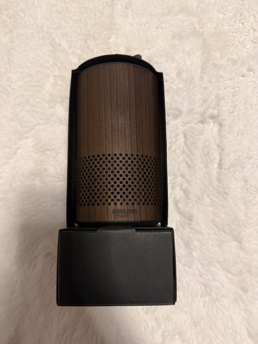 Alexa echo pentru casa
