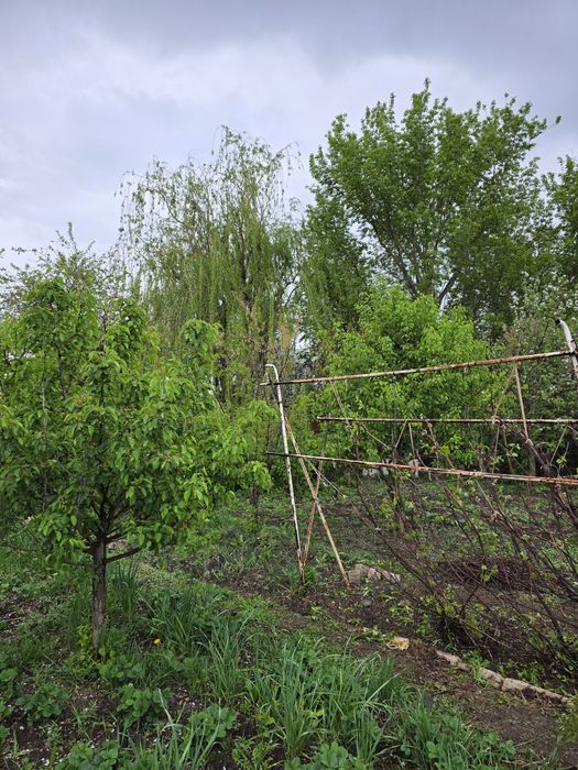 Продам дачу в кооперативе Мелиоратор