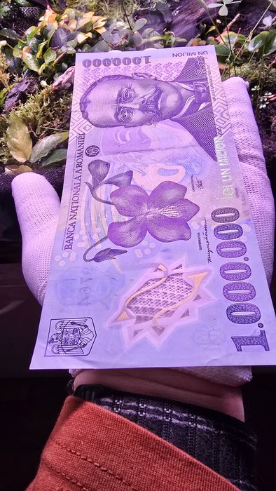 Bancnote 1000000 lei un milion de lei
