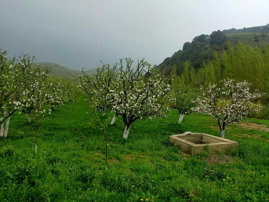 Jizzax Baxmal dam olish maskani sotiladi