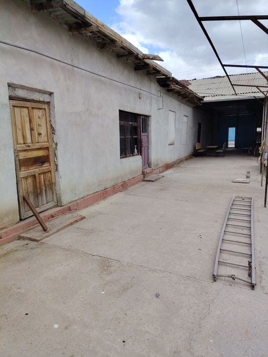 Тошкент парфюм оркасида ховли