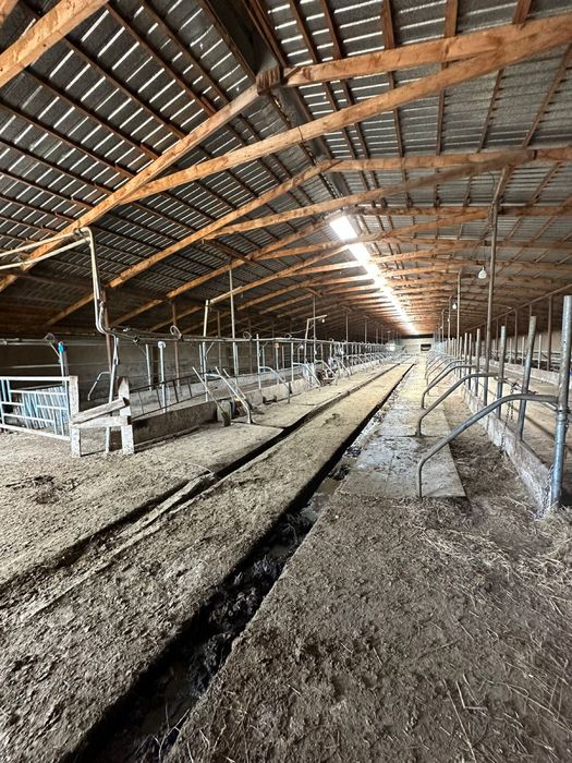 Продам крестьянское хозяйство фазенду