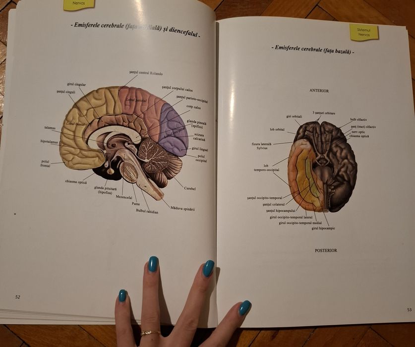 Materiale pentru admitere umfcd