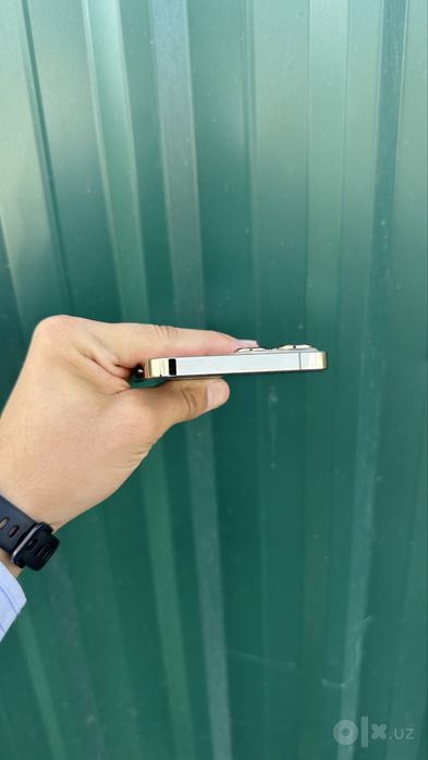 iPhone 13 Pro Max 1TB