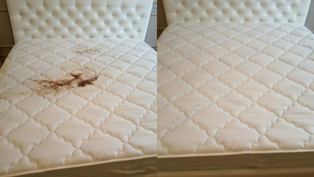 Выездная химчистка   мягкой мебели и ковров по доступной цене