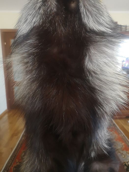 Blana vulpe polara neagra deosebita