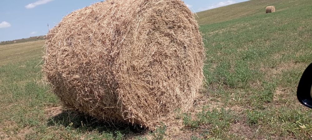 Baloți lucernă coasa a doua