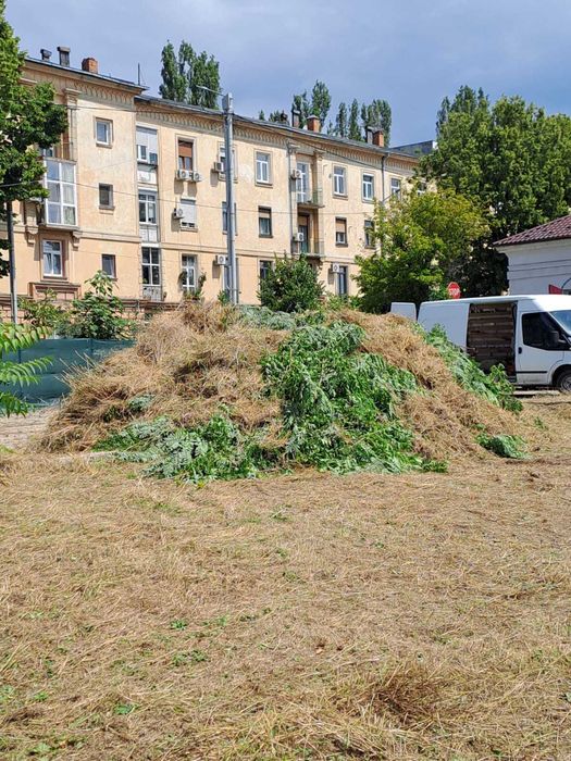 copaci si gradina , gazon si iarba nedorita