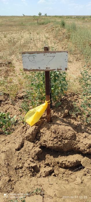 продам или обмен на с кот