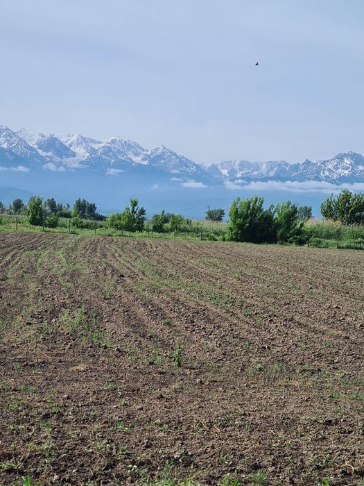 Земля! Продам 6,4 га земли.