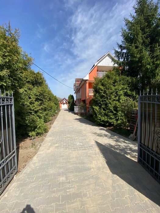 Servicii întreținere curte, tuns iarba și amenajări