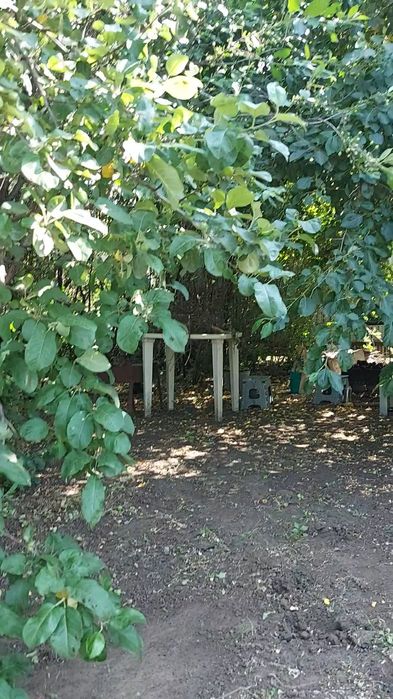 продам дачу в КЖБИ