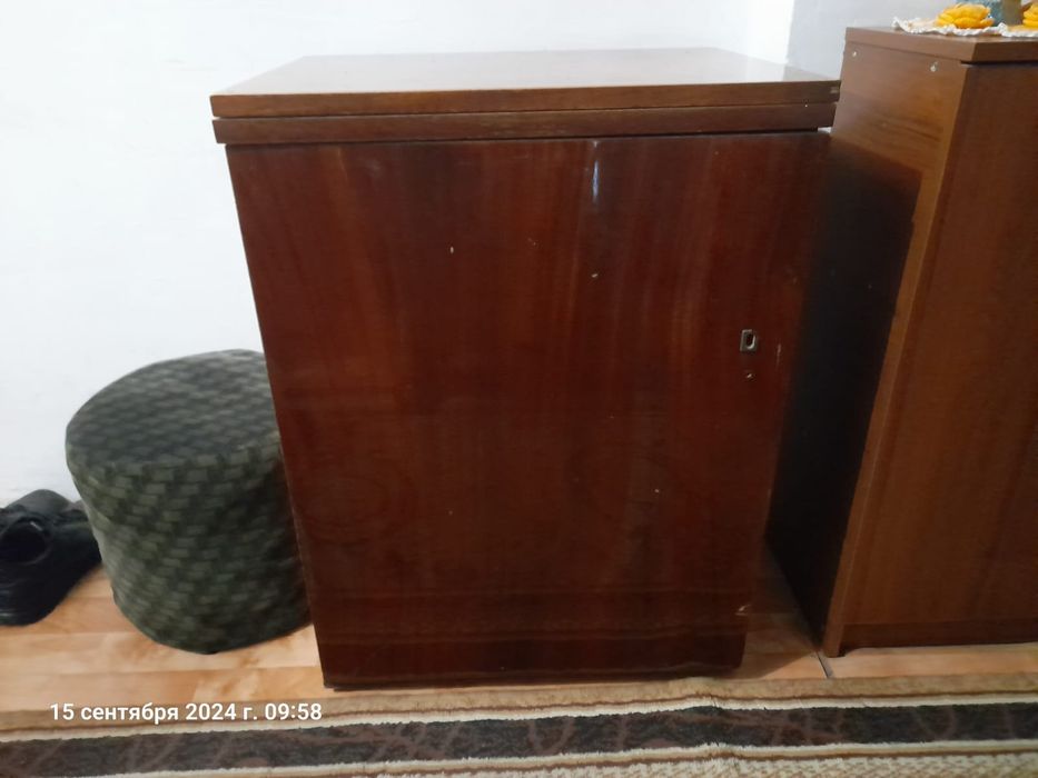 Швейная машина чайка2