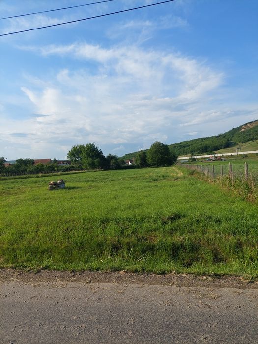 Vând teren Apoldu de jos