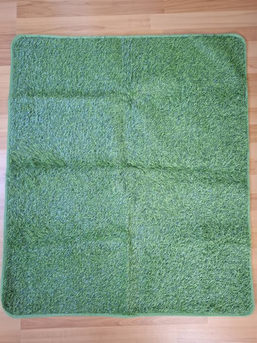 Covor antrenament,nevoi caini