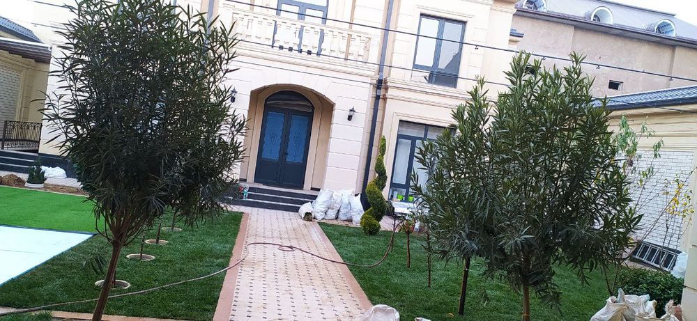 Газон живой прямо с плантации доставка установка есть