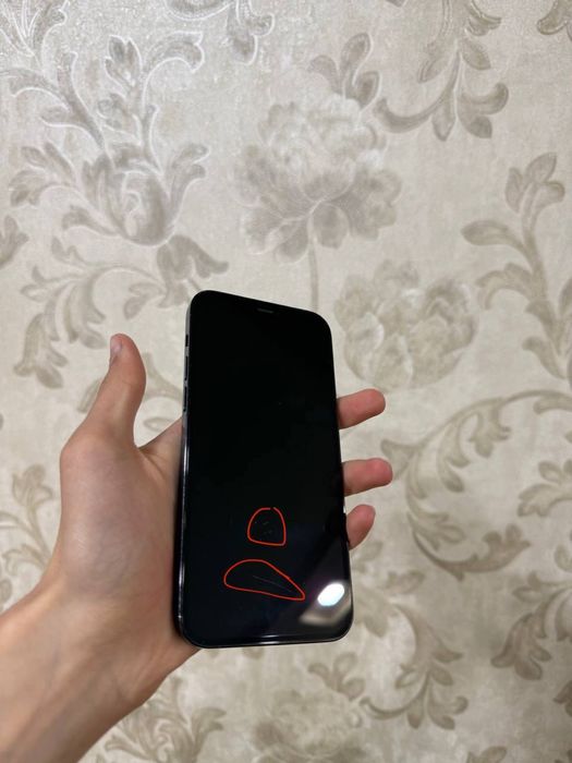 Iphone 12 pro Dual sim