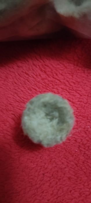 Минеральные пробки для рассады