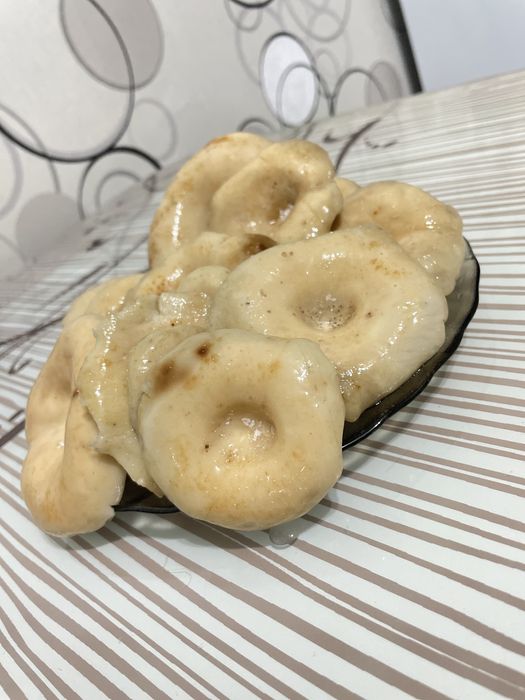 Грузди соленые!