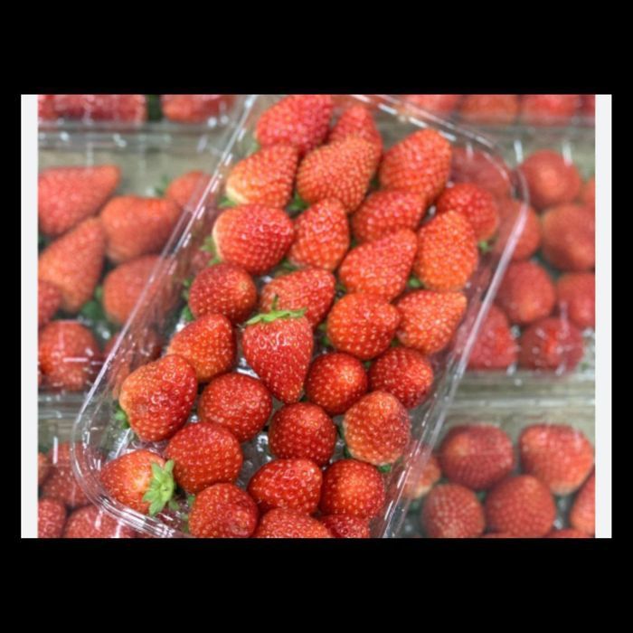 Dovcha bor kok sulton bor guloz bor va qulupney bor